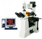 用途

550 系列熒光顯微鏡是由倒置顯微鏡和落射熒光裝置組成。配有長(zhǎng)工作距離平場(chǎng)消色差物鏡、大視野目鏡、雙目觀察。倒置熒光顯微鏡還配有特長(zhǎng)工作距離聚光鏡、同時(shí)配有相襯裝置及長(zhǎng)工作距離平場(chǎng)相襯物鏡，具有在培養(yǎng)瓶或培養(yǎng)皿內(nèi)進(jìn)行顯微觀察的特點(diǎn)。倒置熒光顯微鏡可以觀察不經(jīng)染色的透明活體；落射熒光裝置適用于熒光顯微術(shù)。倒置熒光顯微鏡特別適用于對(duì)活體細(xì)胞和組織、流質(zhì)、沉淀物等進(jìn)行顯微研究，是生物學(xué)、細(xì)胞學(xué)、腫瘤學(xué)、遺傳學(xué)、免疫學(xué)等研究工作的理想儀器?？晒┛蒲小⒏咝?、醫(yī)療、防疫質(zhì)檢和農(nóng)牧等部門使用。
