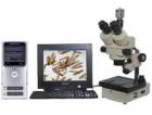 實(shí)體圖像顯微鏡或數(shù)碼攝影實(shí)體顯微鏡，配置了高清晰度的圖像傳感攝像機(jī) (或數(shù)碼相機(jī))，可以將顯微成像由計(jì)算機(jī)進(jìn)行處理、編輯、保存和輸出 (如打印等)或進(jìn)入多媒體系統(tǒng)及電子信箱。
